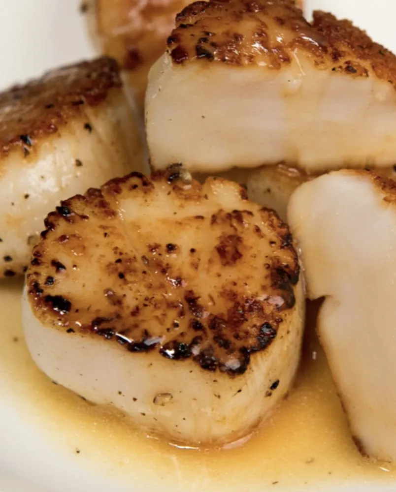 Scallops